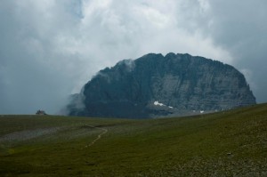 Olympus - the crown 41