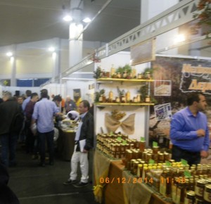 IMGP0346