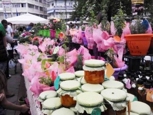 10458800_10205977647912402_3898649535947154012_n