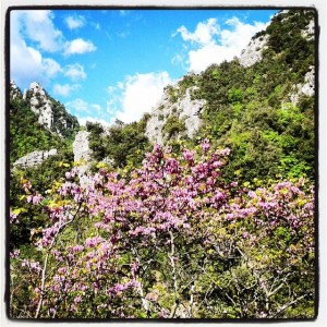 11078233_10206819828473433_5478538301954718296_n