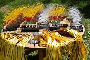 11221156_900584723313811_1950130381_o