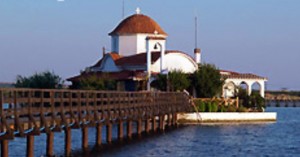 _________________5548c8115ce3e