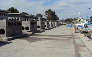 ____________ ______________ ______________