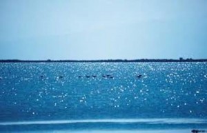 αρχείο λήψης