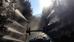 11665528_10204544993293332_6788697156948697753_n