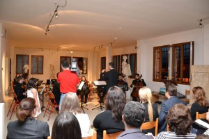 DSC_1384 (         )