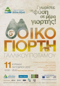 poster Οικογιορτή 2015