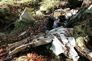 0ACBBC00A17FFE4E1E70BCD401B7968E