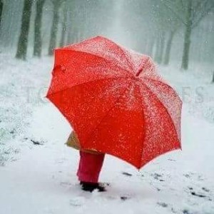 FB_IMG_1454283405372