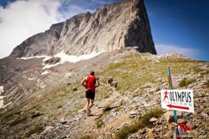 58fbd8eea8a0a9c83a231534e6edc699_XL