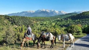 18193095_297140614041643_8030259211093968608_o