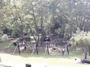 18193799_10211680827048316_5055720773043088225_n