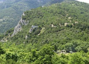 18194933_297139944041710_9139988056831787031_n