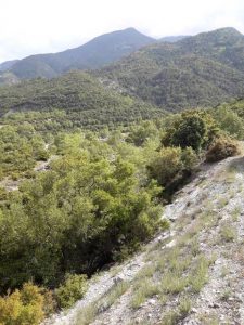 18198761_10211680810207895_7554003500216141354_n