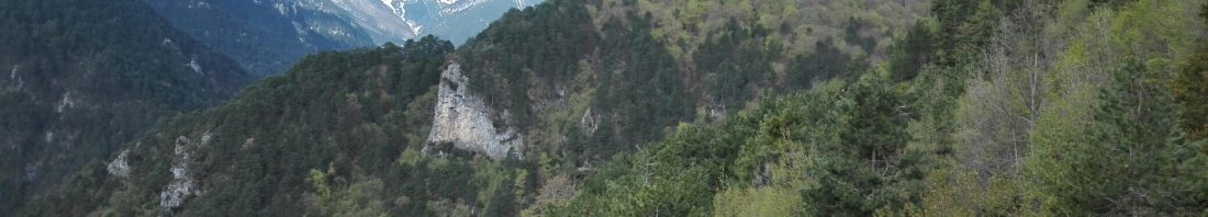 IMG_20170409_100650_resized_20170502_034847016