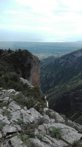 IMG_20170409_104009_resized_20170502_034846225