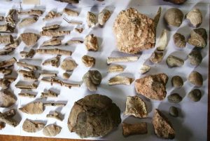 Αρχαία Αντικείμενα 7