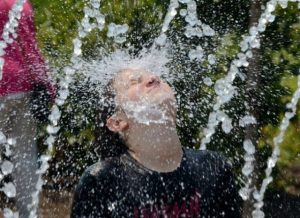 169d5ac9cd7494261cc349e337449acd